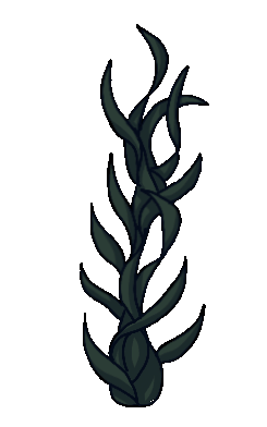 seaweed10
