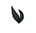 seaweed8